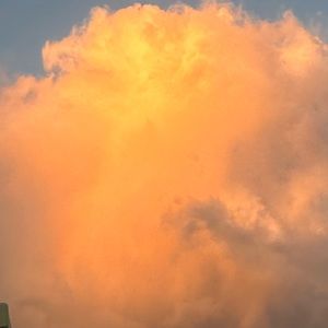 Meet your Posher, Eliza